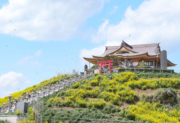 蕪島神社ロケーションGallery2